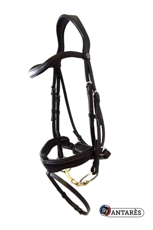 Antares Signature Bridon  Dressage Bridle