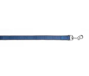 Blue Reflective Trim Leash