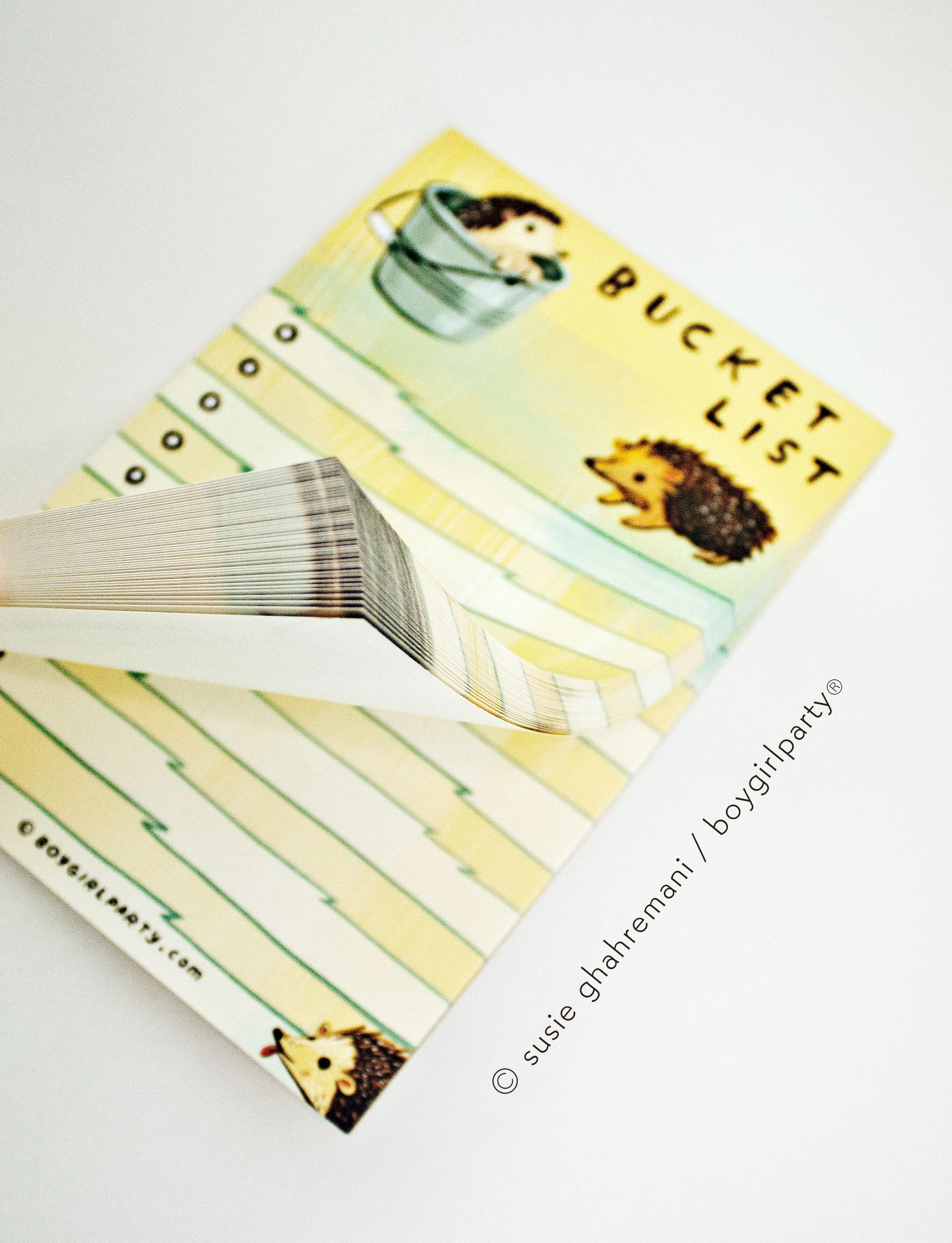 Bucket List — Hedgehog List Notepad — To Do List Pad