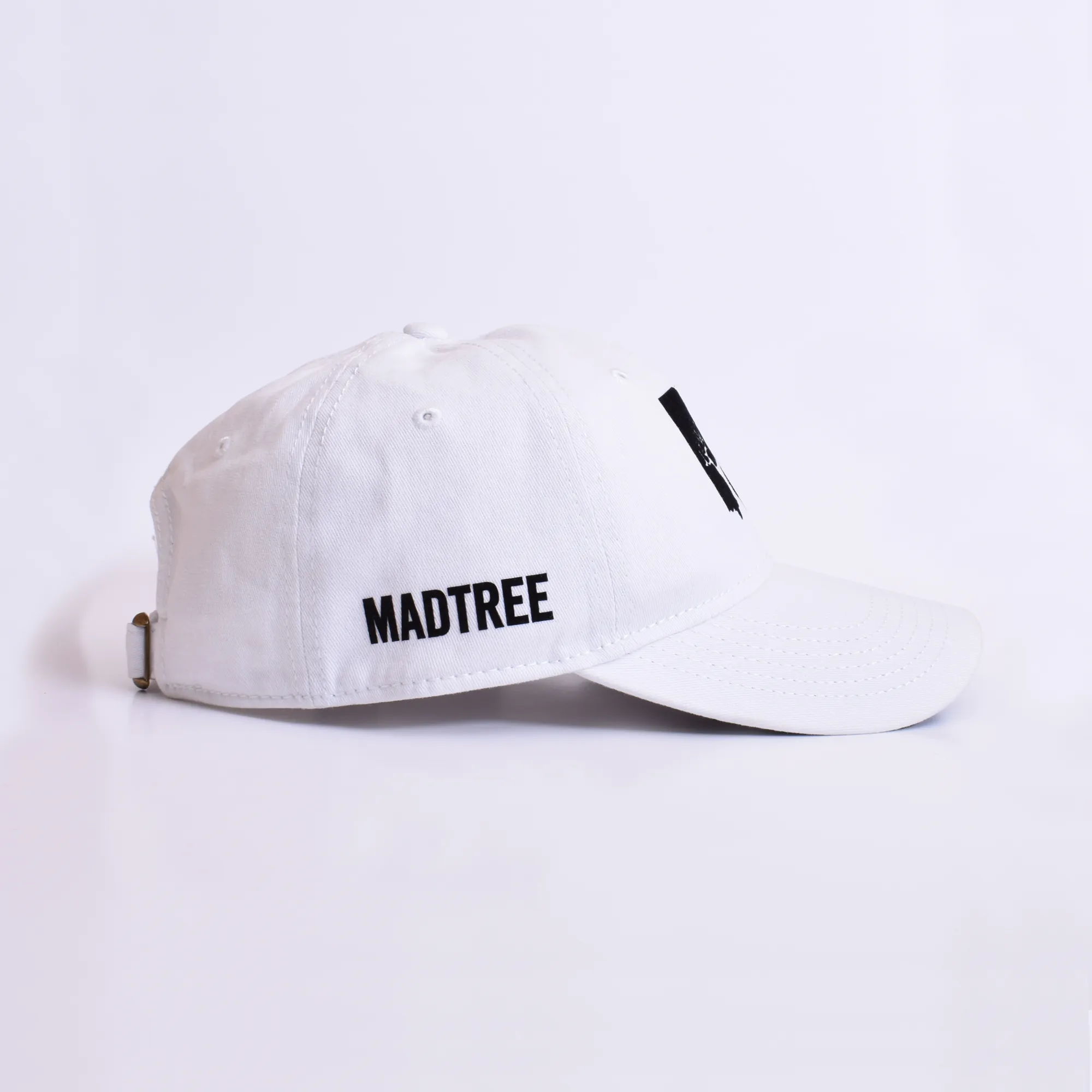 Dad Hat Ohio