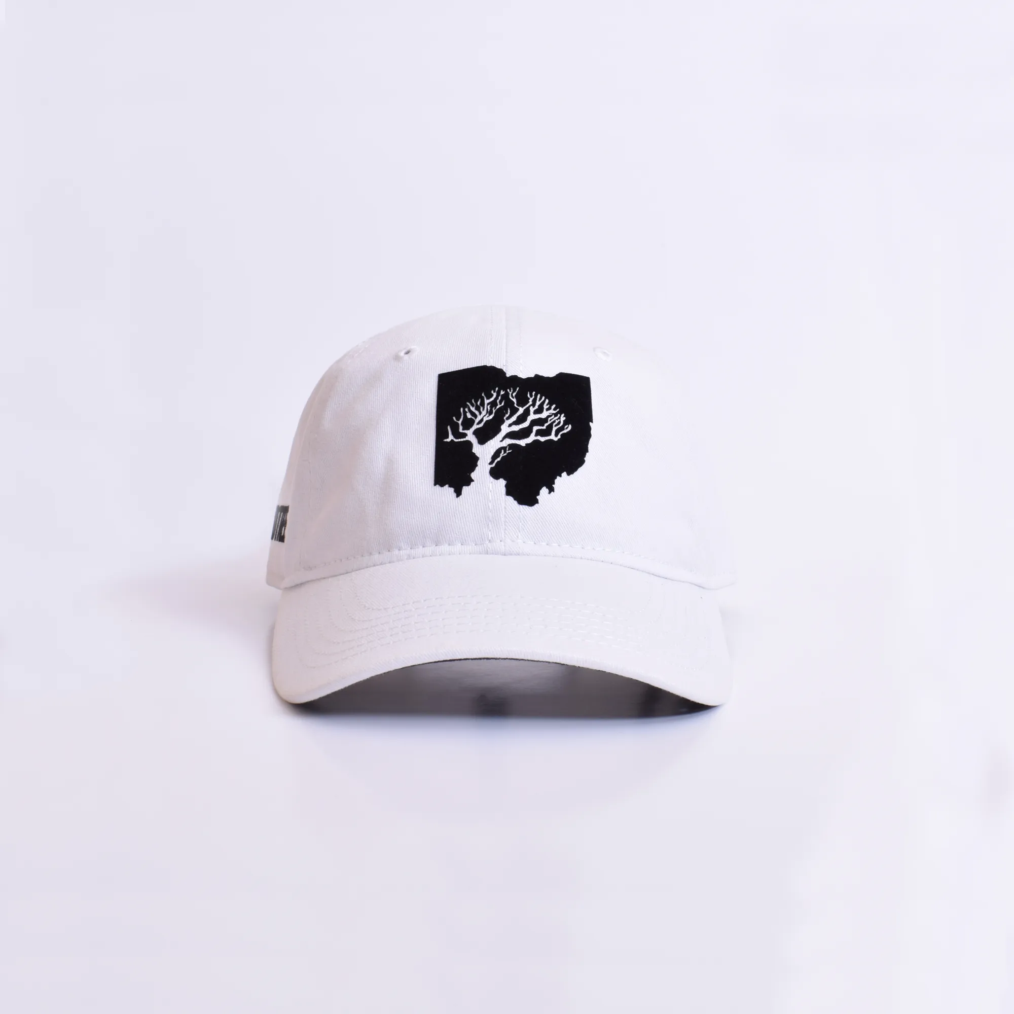 Dad Hat Ohio