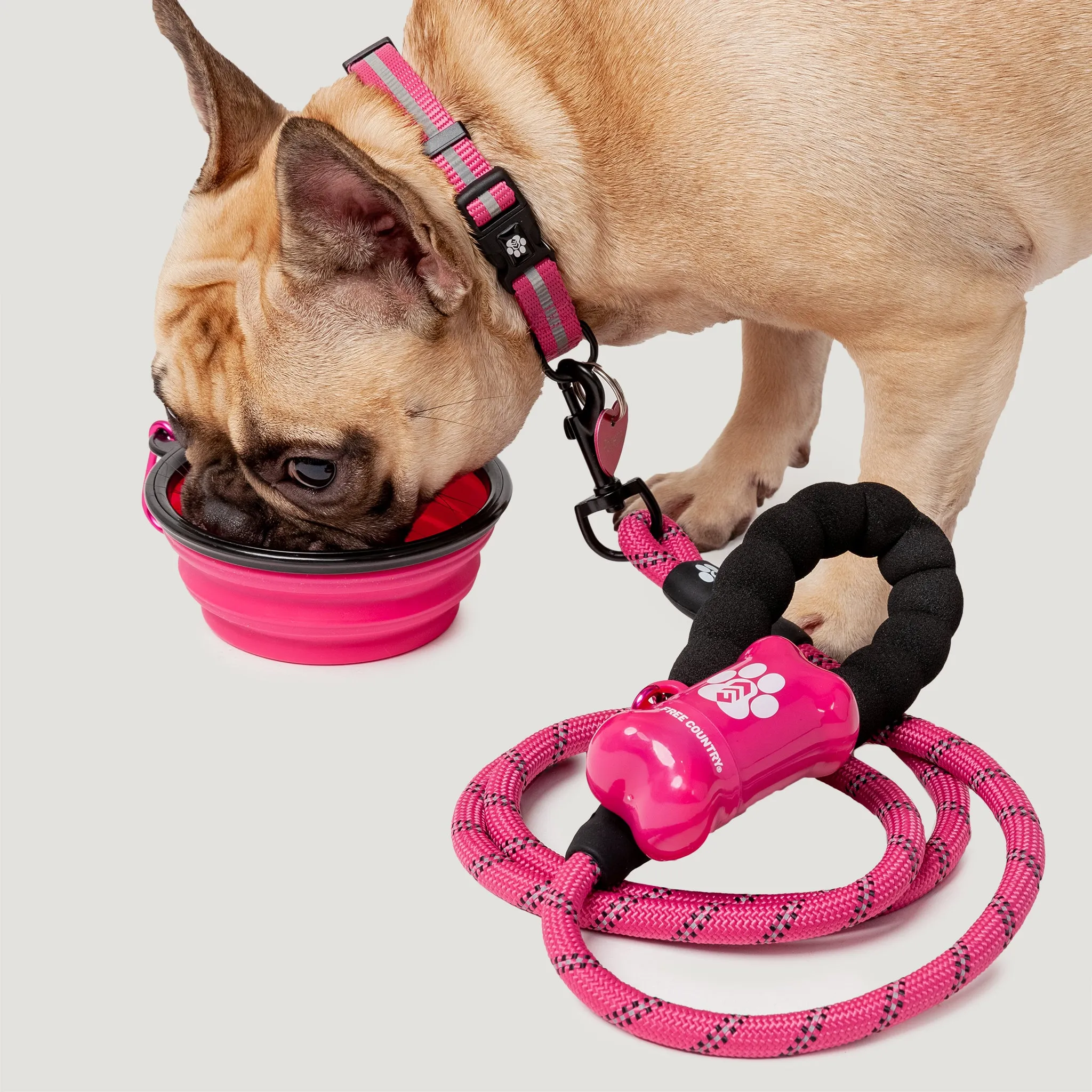 Dog Essentials Set