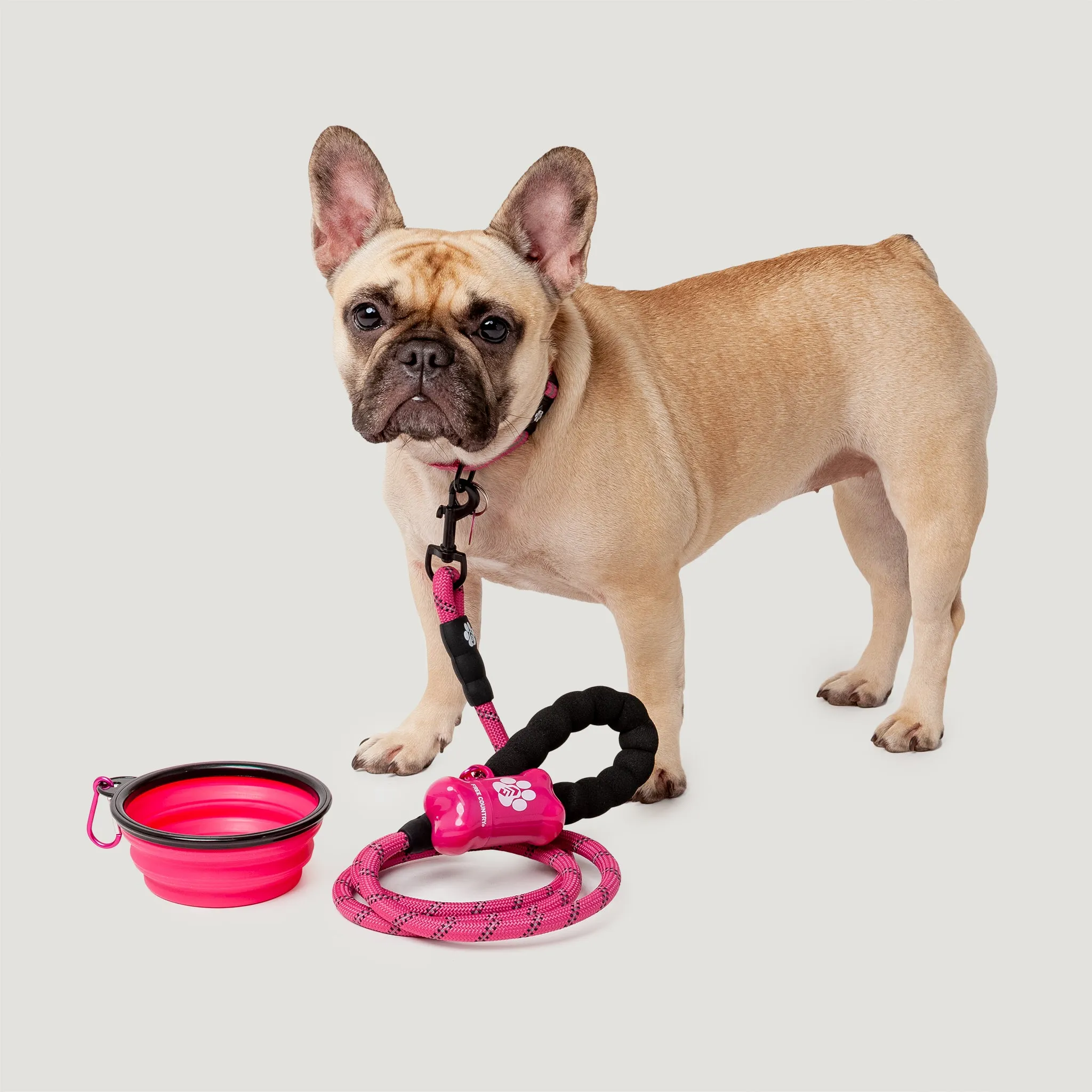 Dog Essentials Set