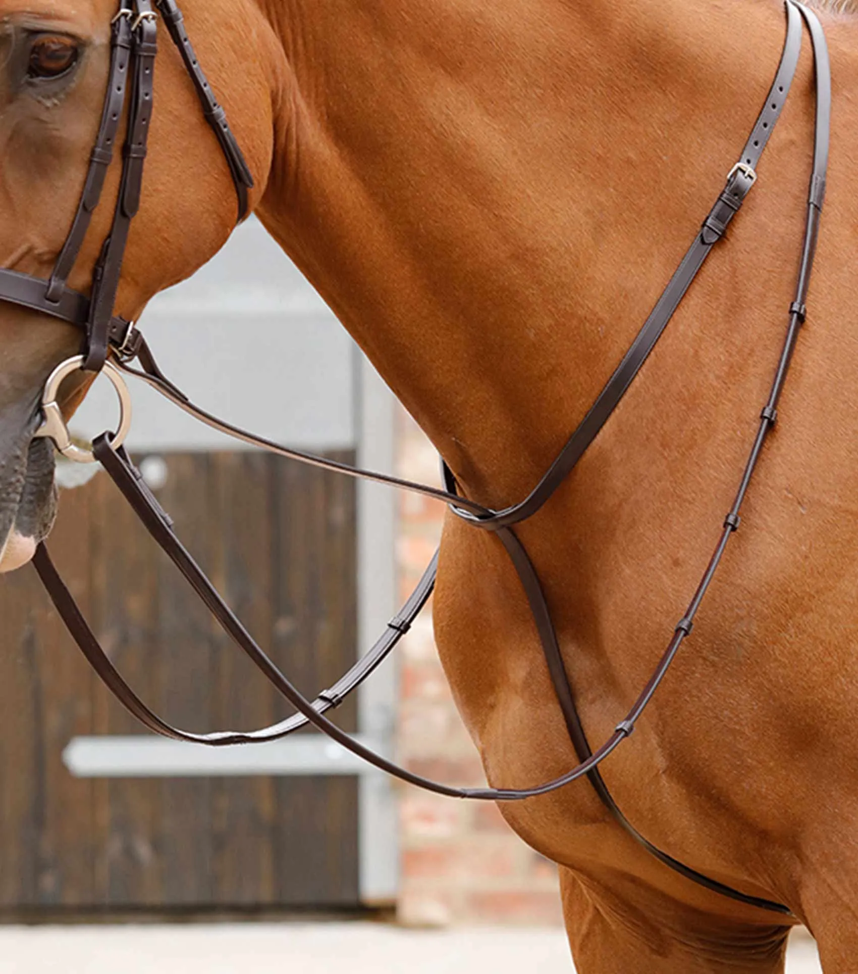 Gressan Standing Martingale Brown