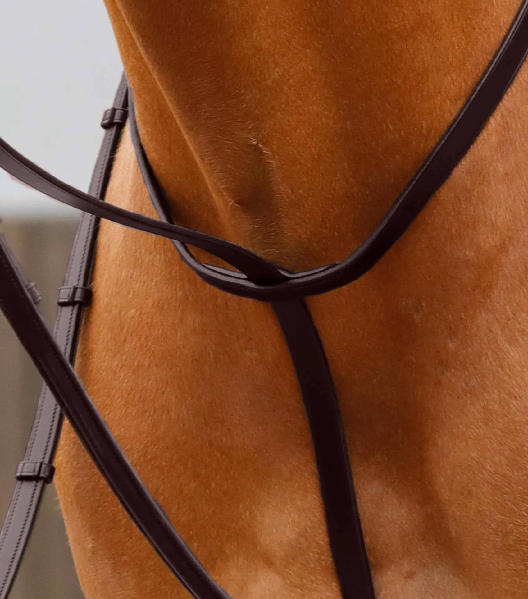 Gressan Standing Martingale Brown