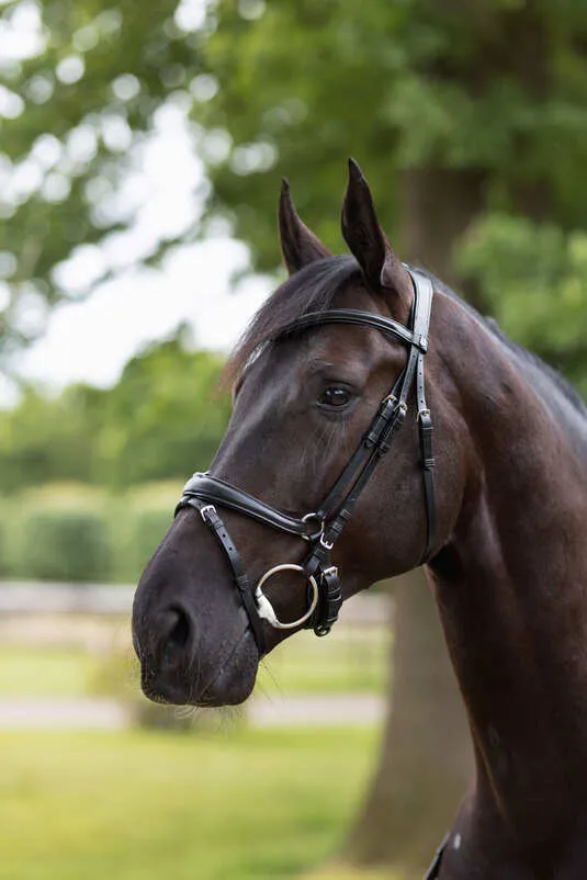 Horze Nature Made Leisure Bridle Black
