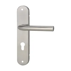 Lever on Plate Lock Door Handle - L301A93SN