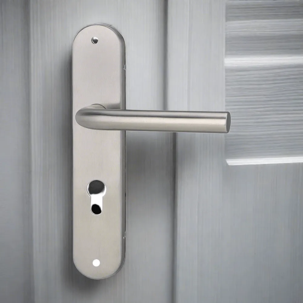 Lever on Plate Lock Door Handle - L301A93SN