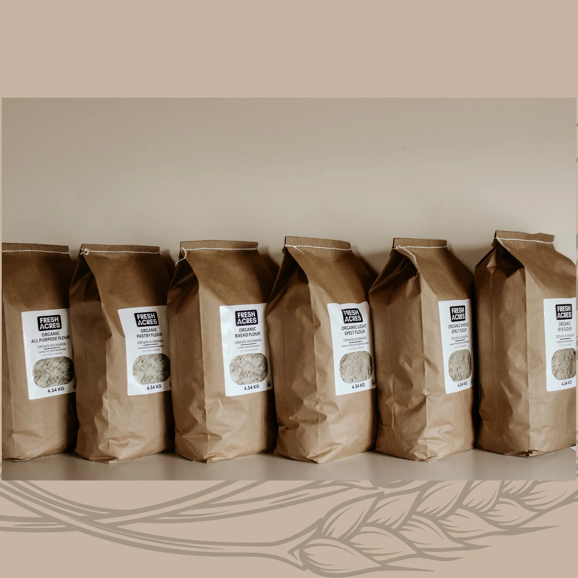 Organic Light Spelt Flour - 4.54kg (10lb)