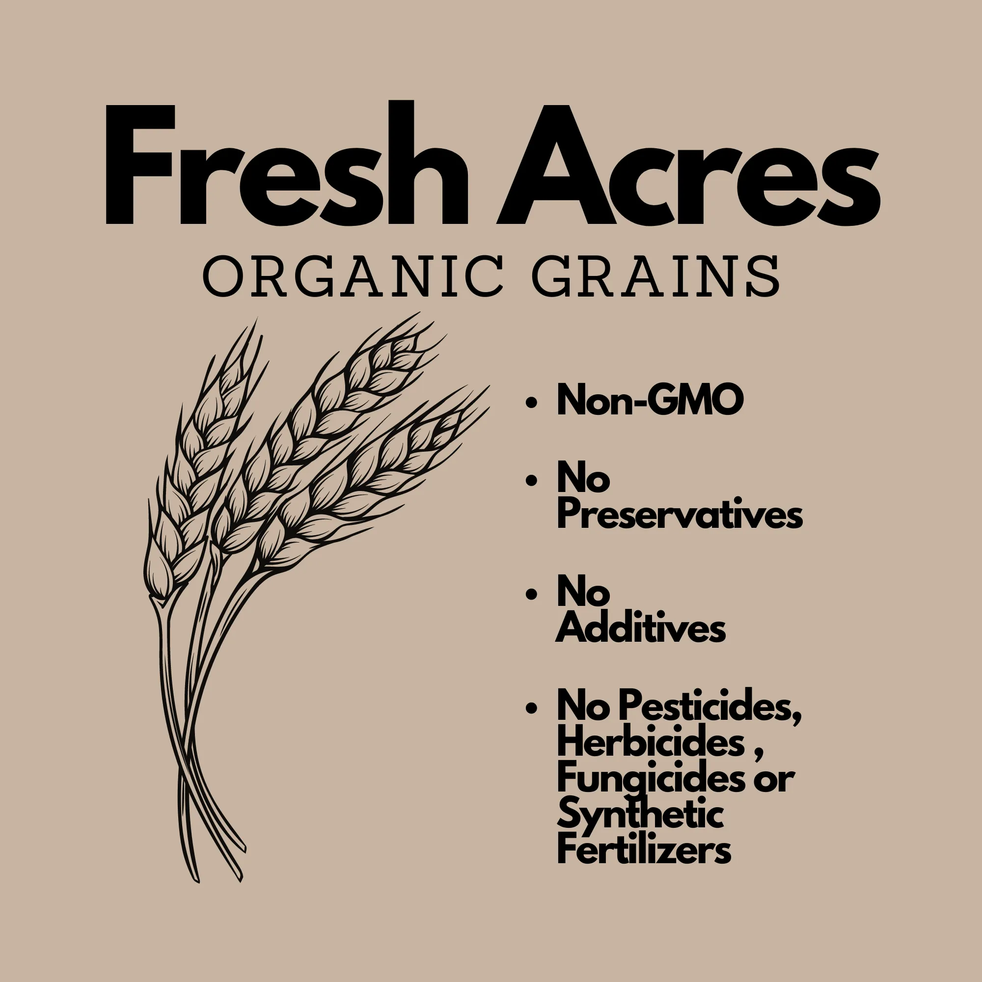 Organic Light Spelt Flour - 4.54kg (10lb)