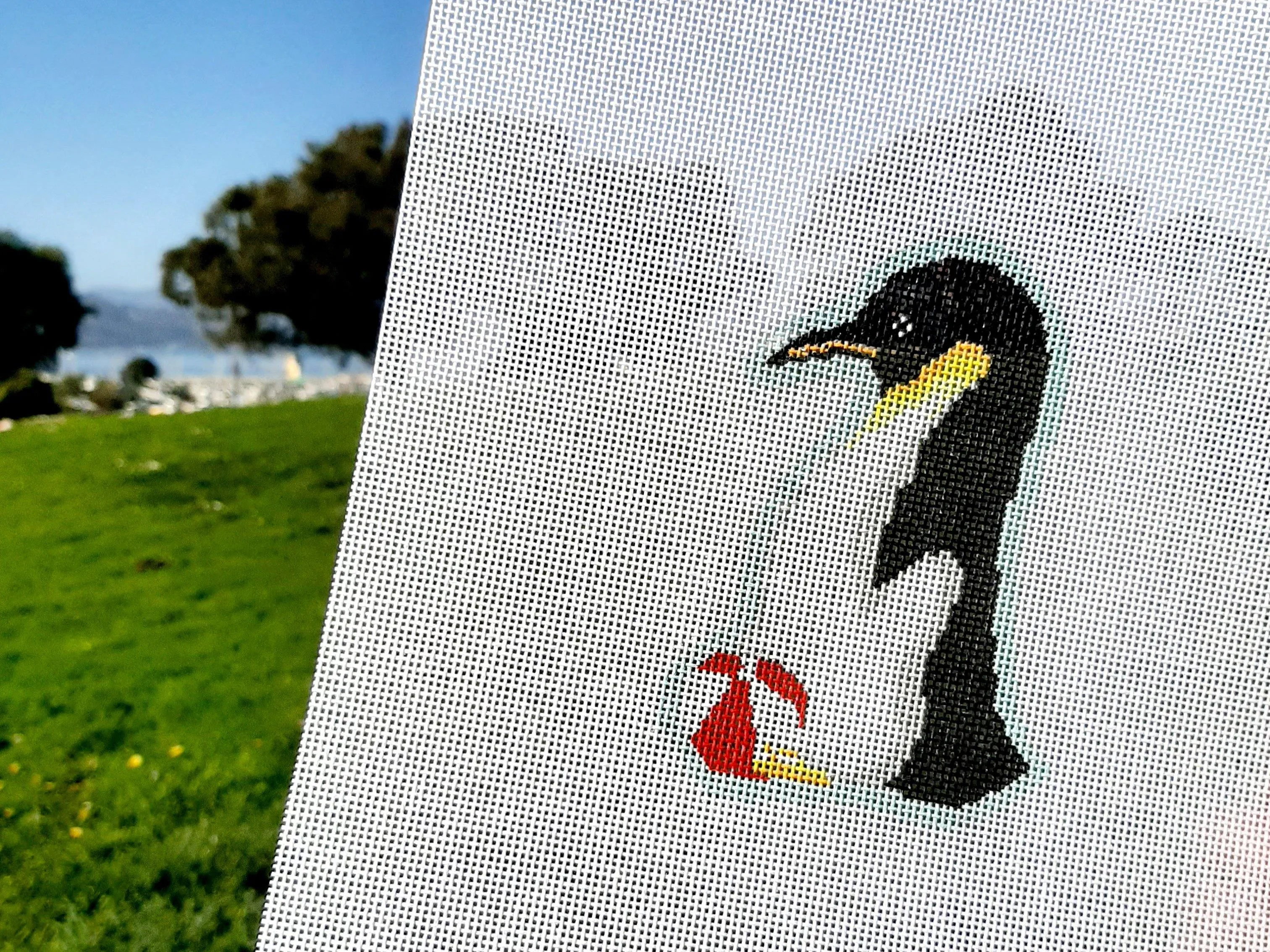 Patrick The Penguin