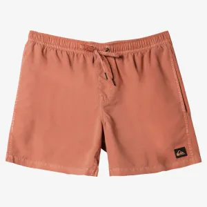 Quiksilver Everyday Surfwash 15 Boardshorts