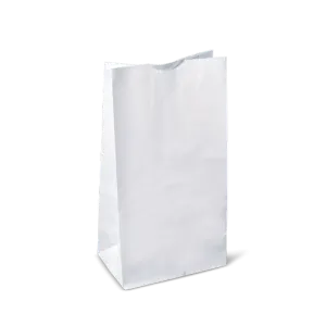 RiteEarth - 2 Lbs Plain White Paper Bag, Pack of 500, 4Bn/Case (2000/Case) - PB020W