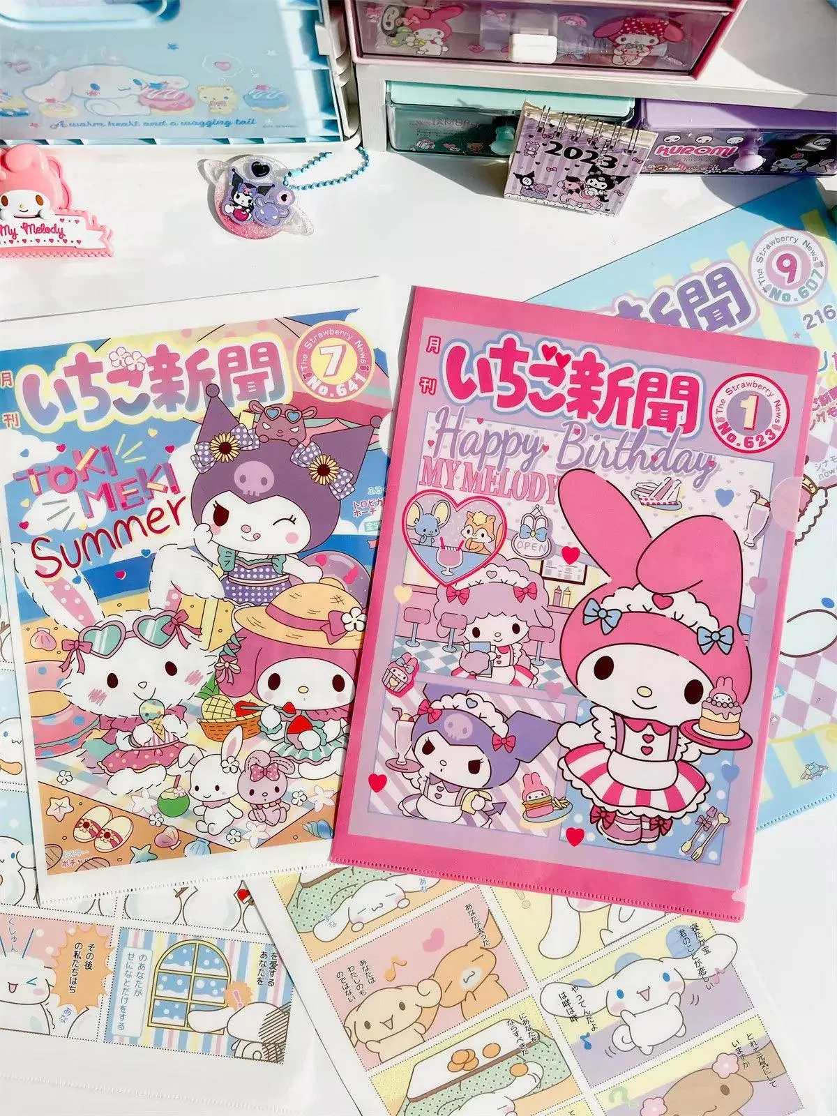 Sanrio Newsletter A4 File Holder