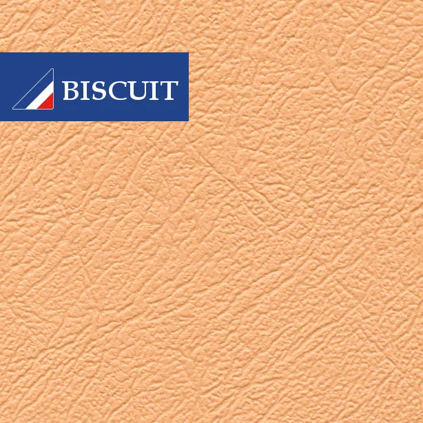 T2 TWO TONE SLIDING DOOR PANEL (1968-79)