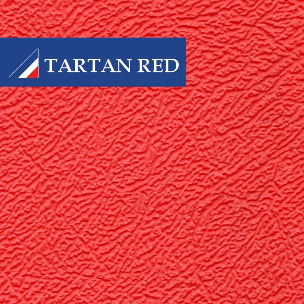 T2 TWO TONE SLIDING DOOR PANEL (1968-79)