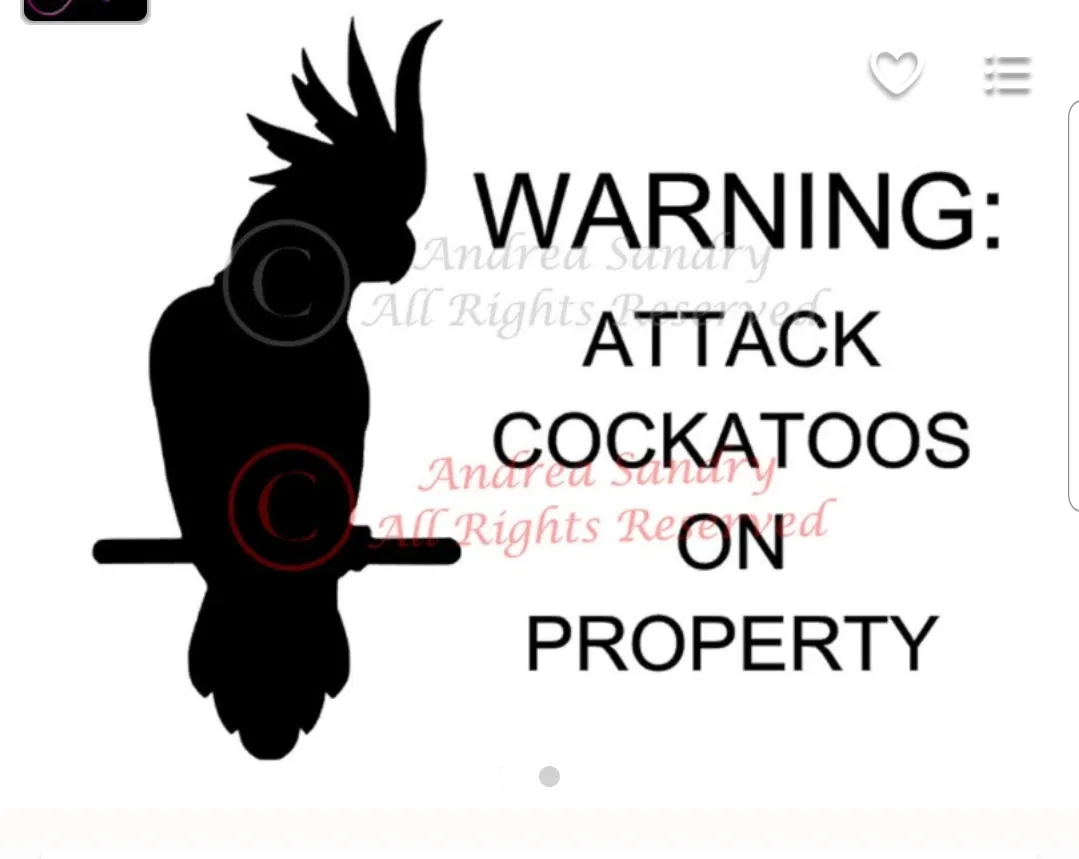 Window Decals