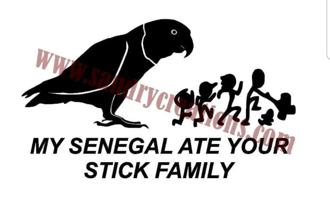 Window Decals