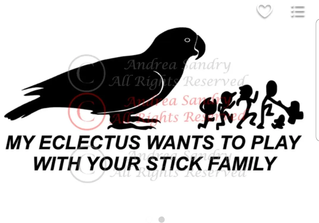 Window Decals