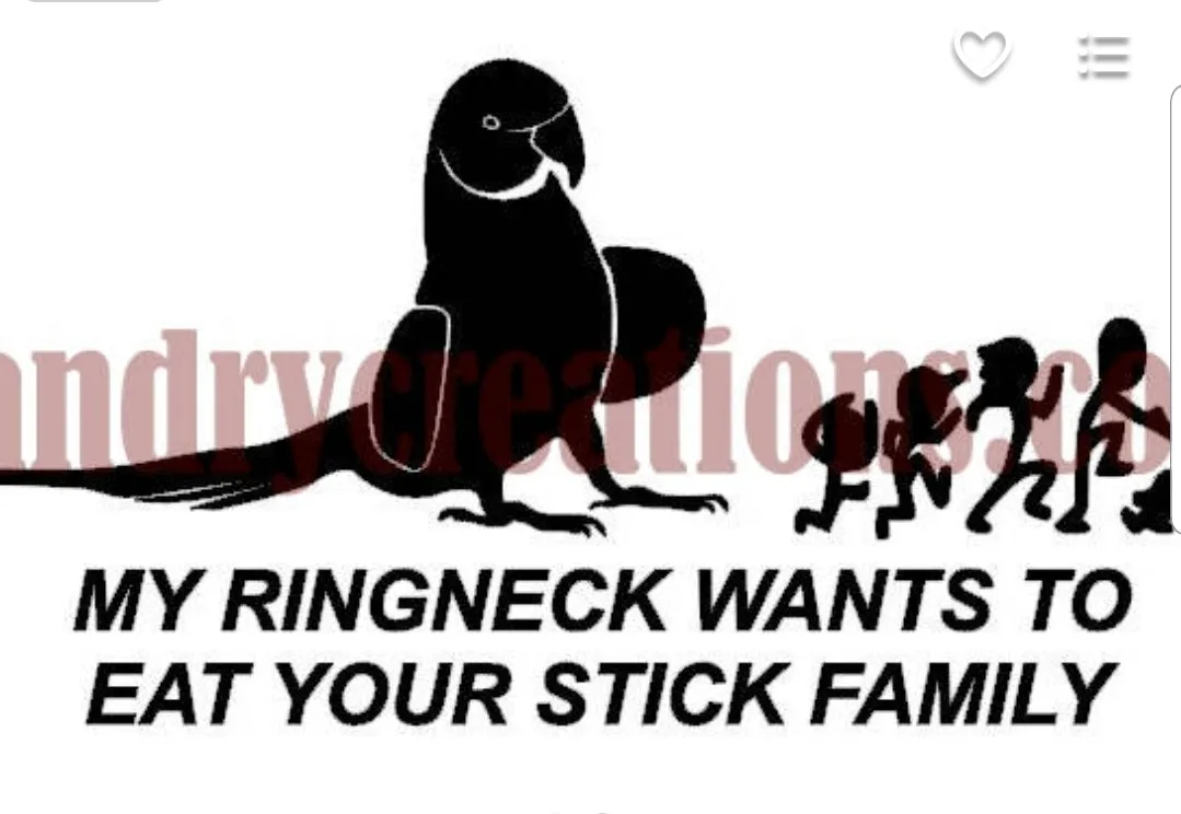Window Decals