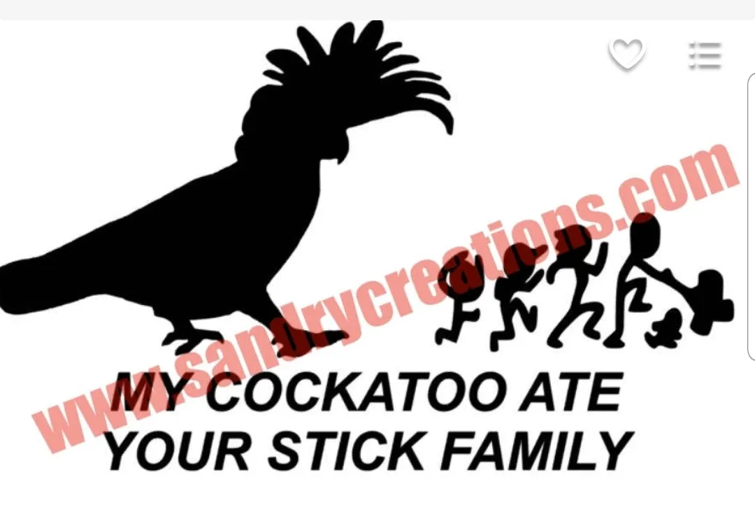 Window Decals