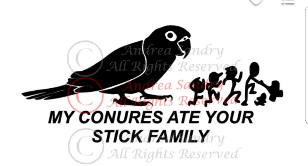 Window Decals