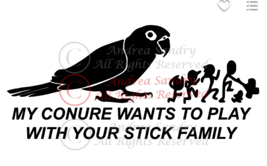 Window Decals