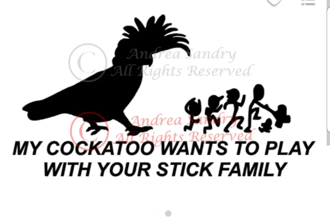 Window Decals