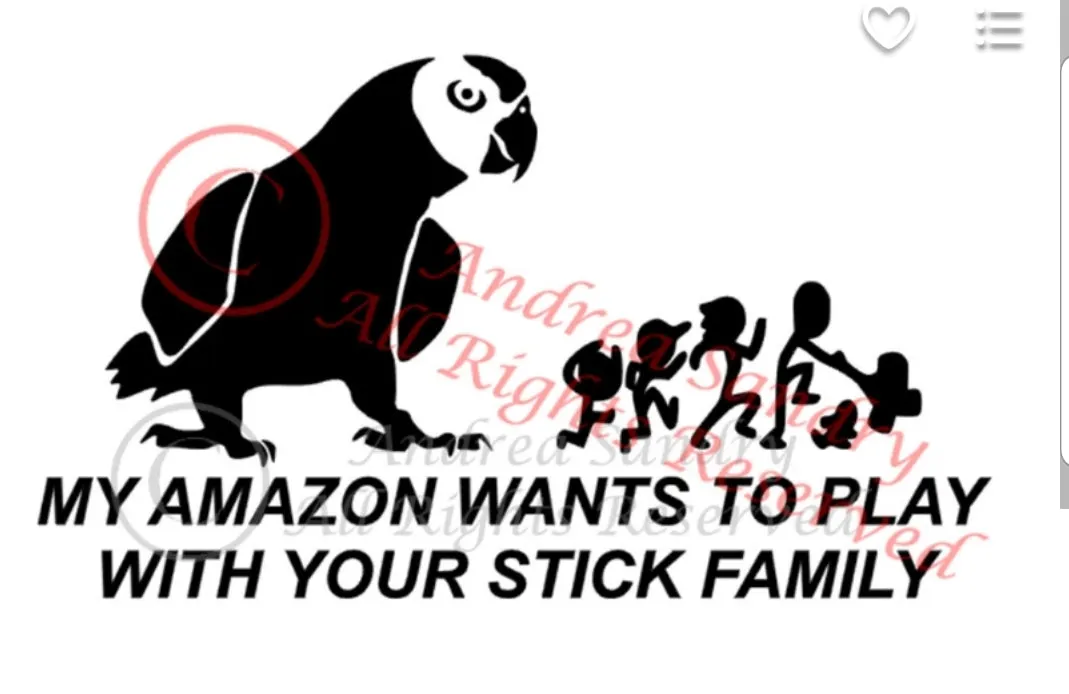 Window Decals