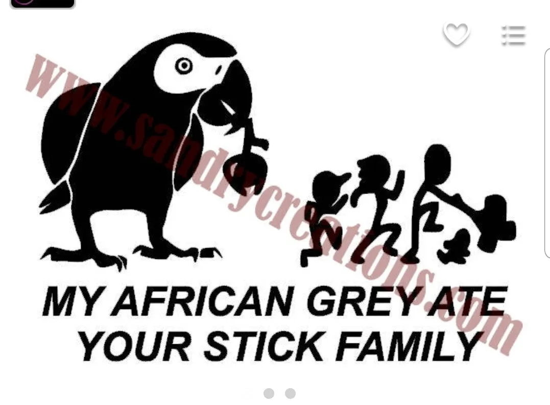 Window Decals
