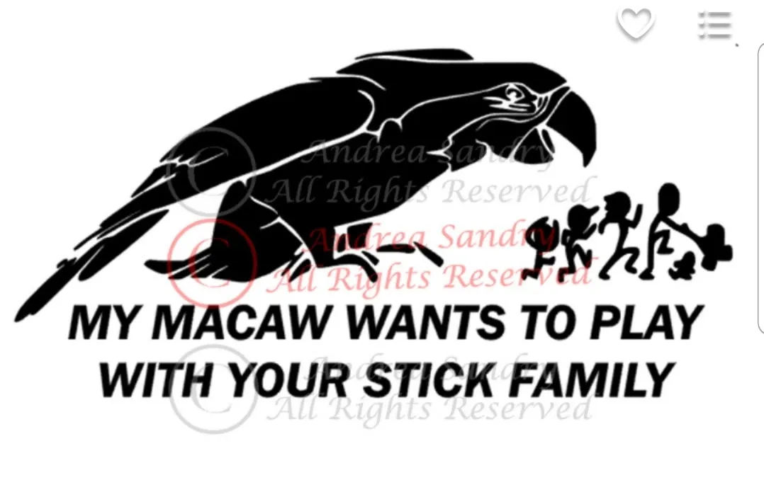 Window Decals