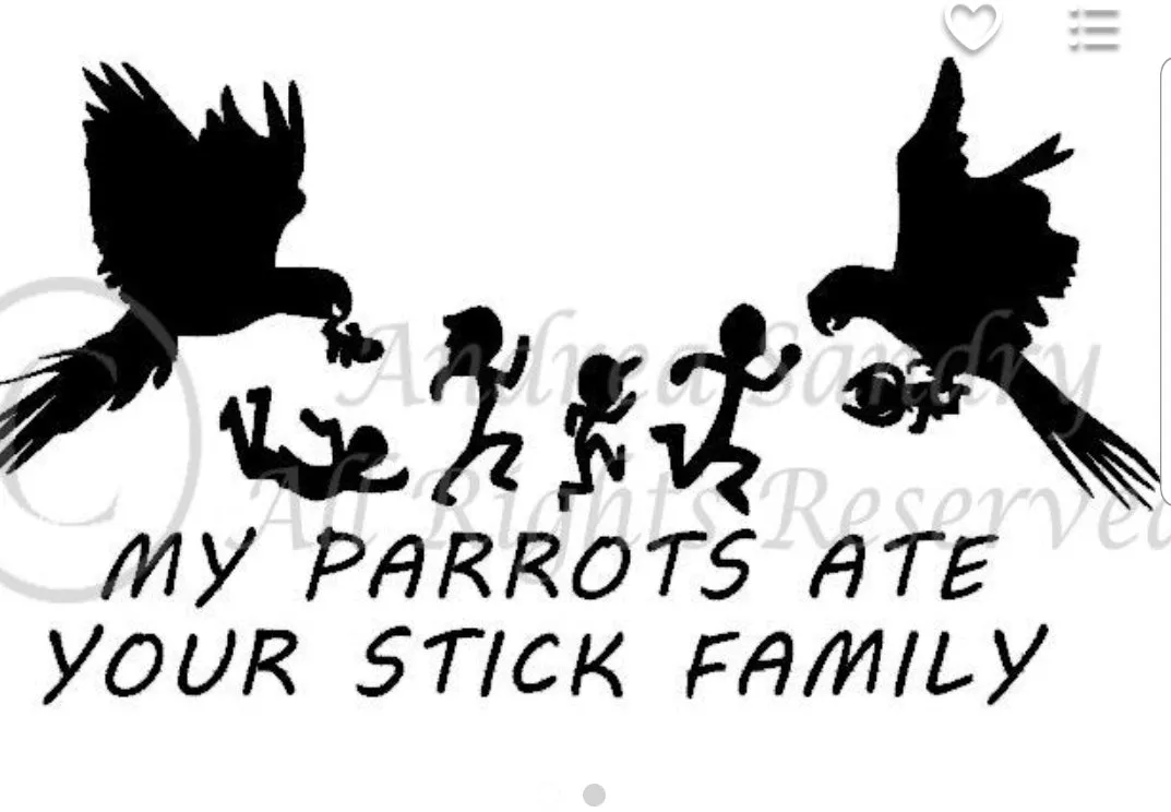 Window Decals